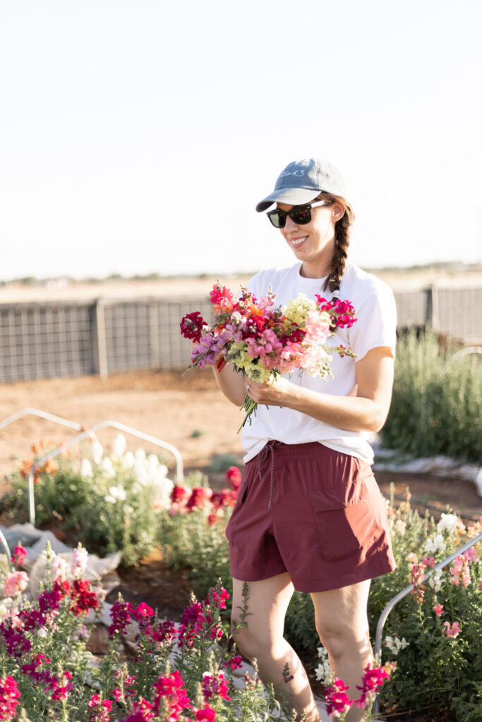 Harvesting flowers at College Station flower farm