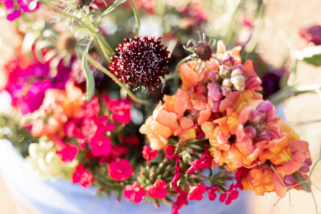 Fresh local farm flowers