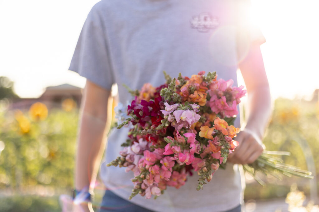 Bouquet of college station farm flowers