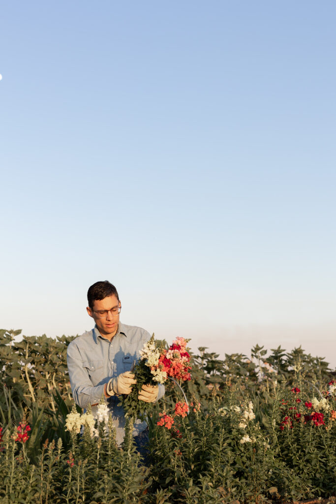 College Station Flower Farmer picking flowers