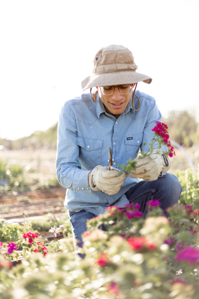 College Station Farm Photographer