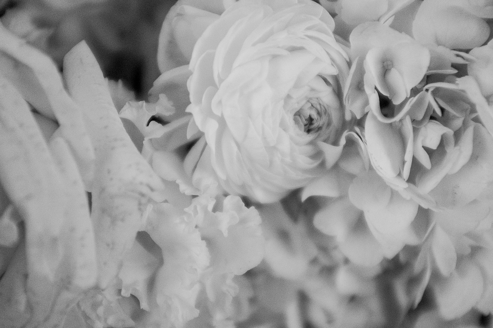 new york city wedding photographer